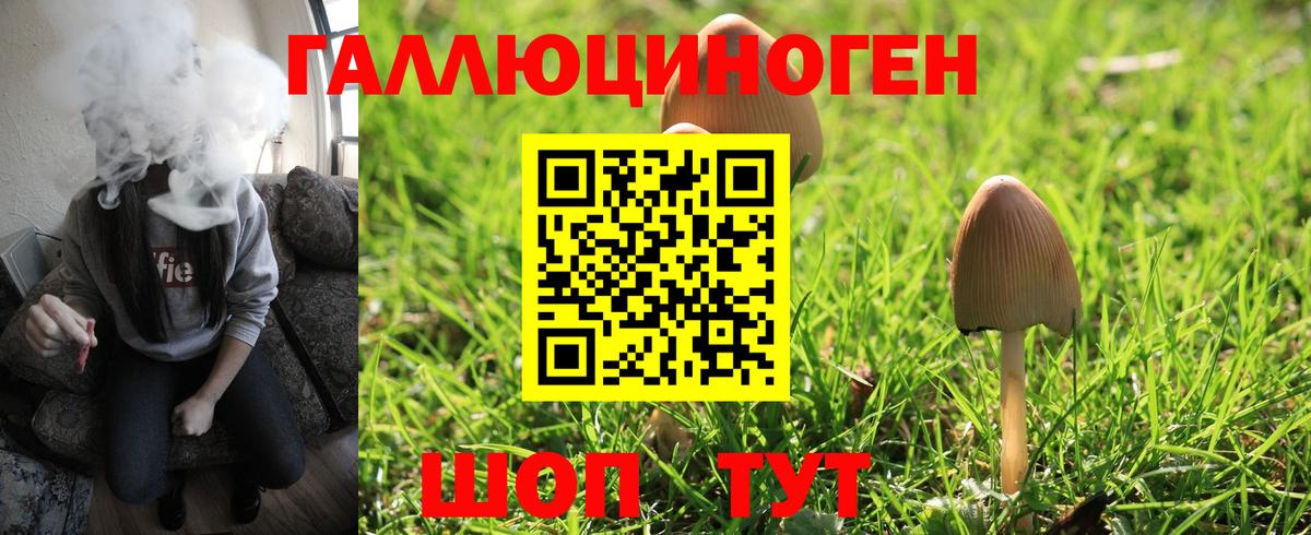 Кувандык  Галлюциногенные грибы мицелий  Вход с VPN  цены   Псилоцибиновые грибы Cubensis 